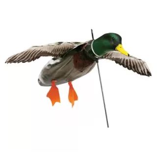 Flyvende Canadagås 