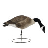 4 Pk FullBody Canada Geeses