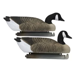 4 Pack Flydende Canadagæs fra Tanglefree