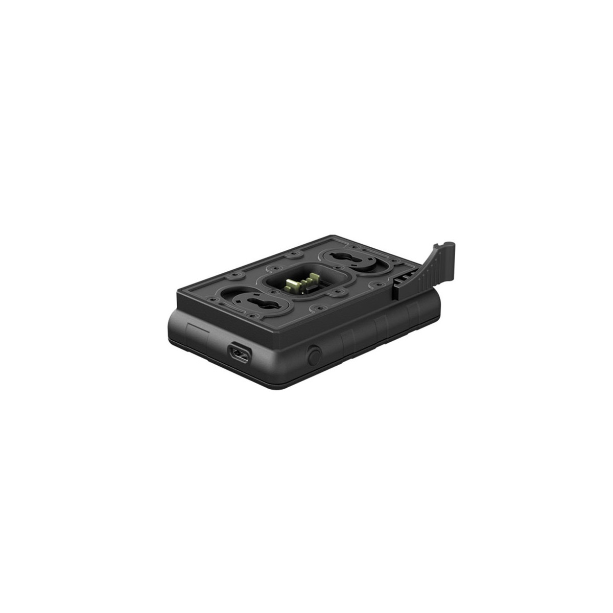 IPS batterioplader