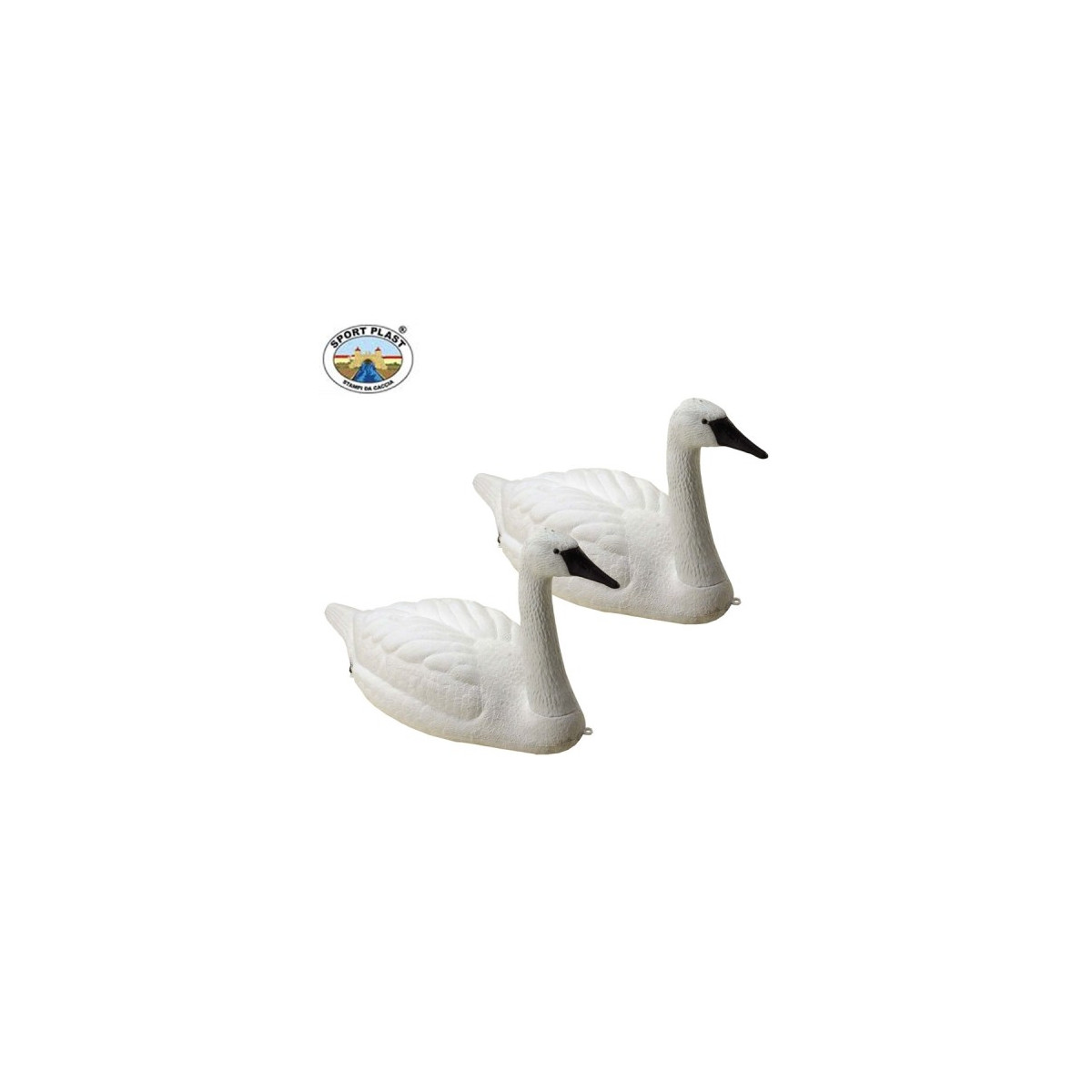 Svane