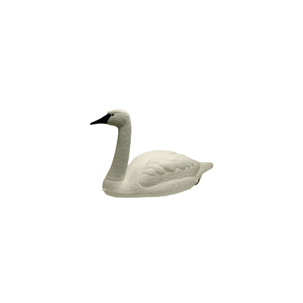 Svane