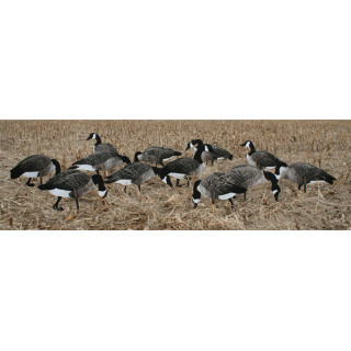 Canada Geese RealGeese 12 pc Pack