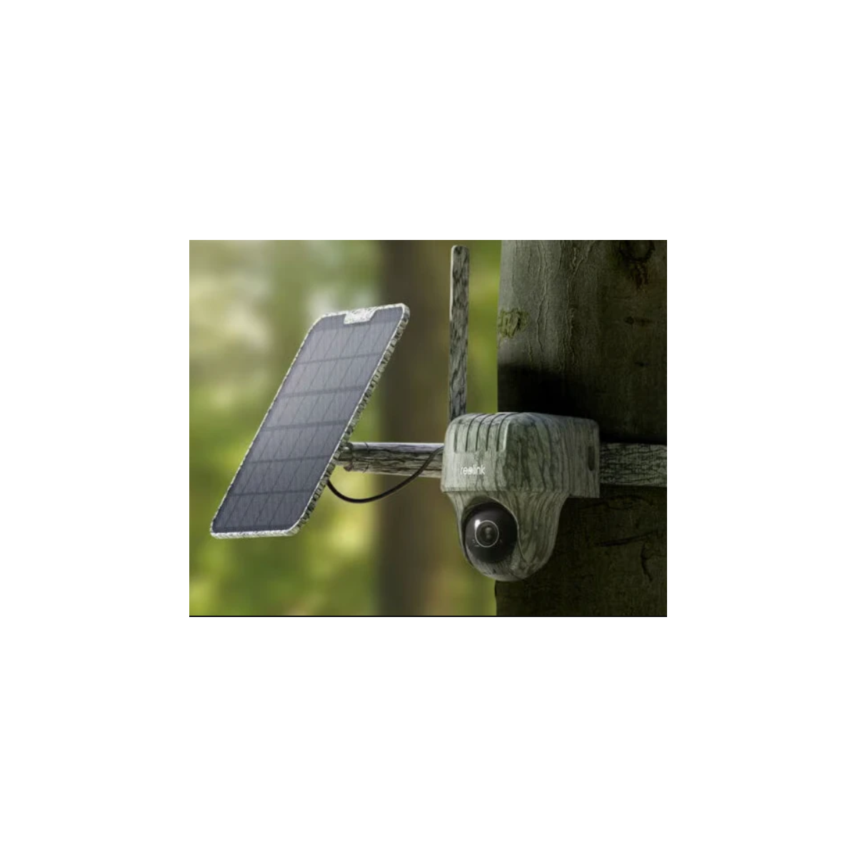 Reolink Go Series G450 Vildtkamera inkl. Solpanel