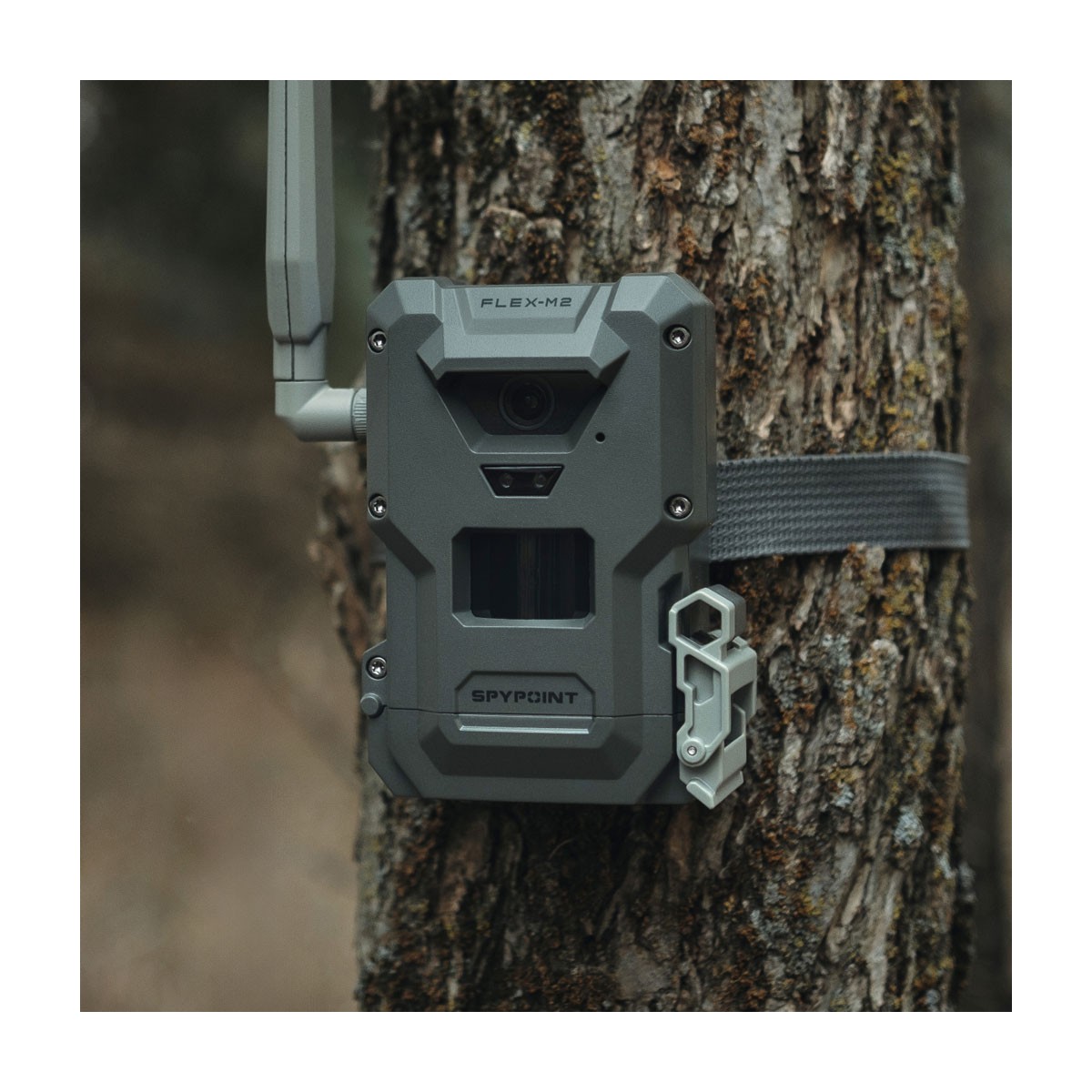 Spypoint Flex-M2 Twinpack