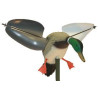 Mojo Wind Duck