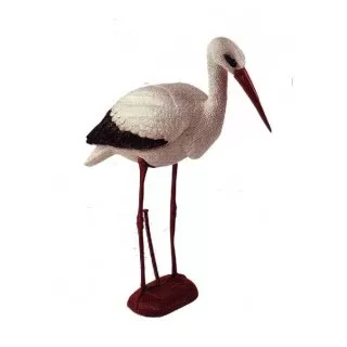 White stork