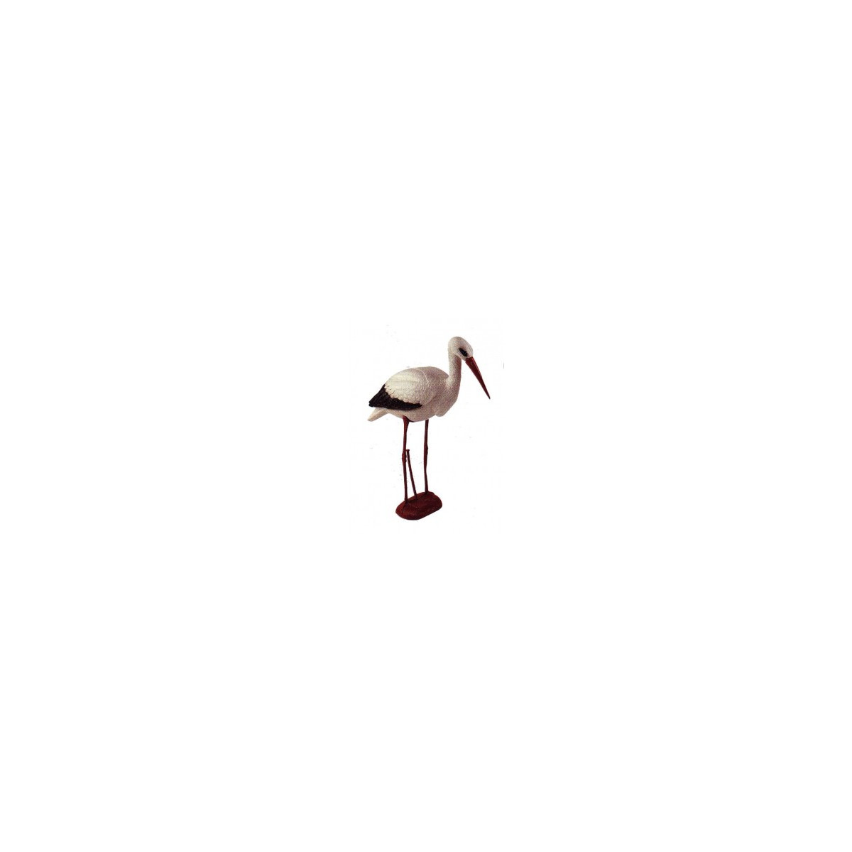 Stork