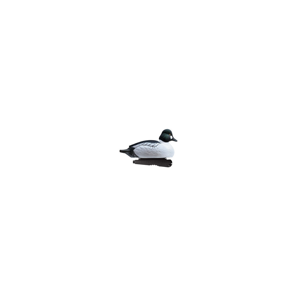 Goldeneyes from GreenHead