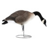 4 Pk FullBody Canada Geeses