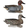 Green Wing Teal from Tanglefree