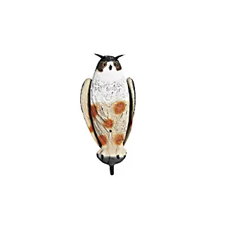 Owl with wings
