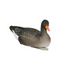 4 pc Floating Greylag fullyflocked